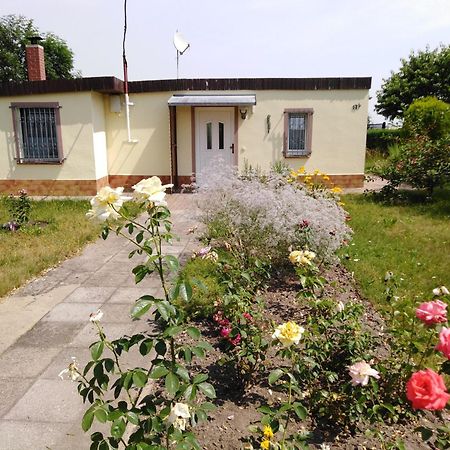 Ferienhaus Kaiserfelder Olbersdorf Esterno foto